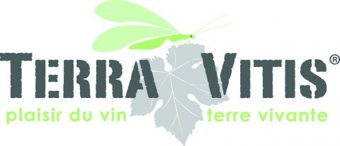 TERRA VITIS
