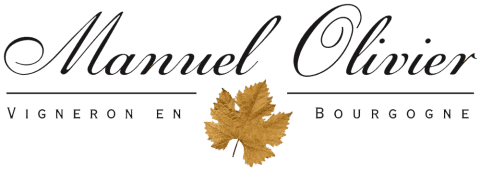 DOMAINE MANUEL OLIVIER