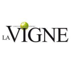 LA VIGNE