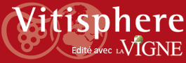 VITISPHÈRE