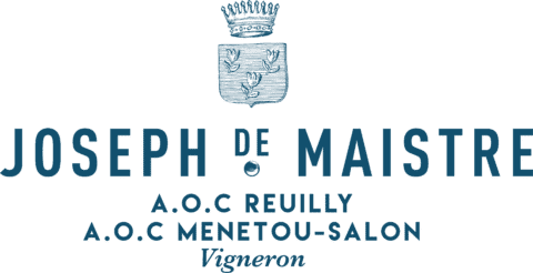 Joseph de maistre menetou