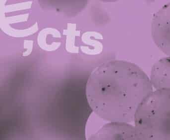 Le vin et son véritable prix de revient