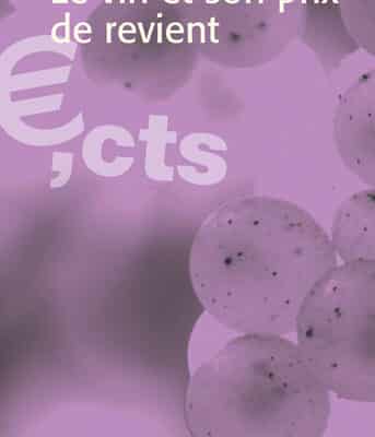 Le vin et son véritable prix de revient
