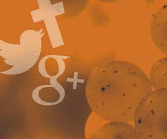 Les réseaux sociaux et le vin