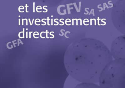 Les financements alternatifs TOME 2